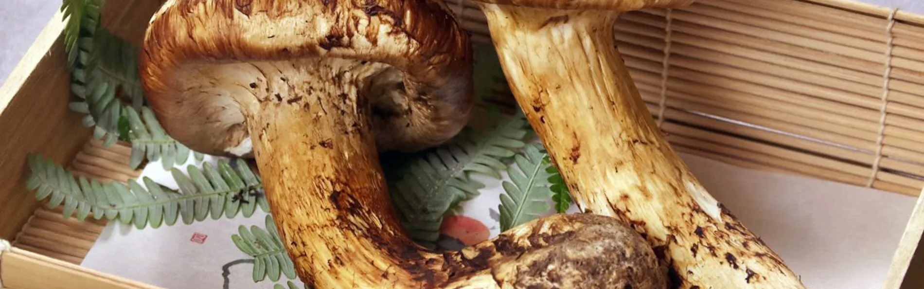 竹林院群芳園