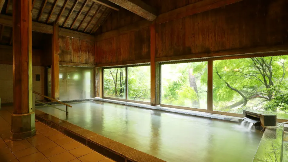Kinugawa Onsen Hana no Yado Matsuya