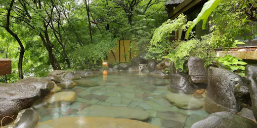 Kinugawa Onsen Hana no Yado Matsuya