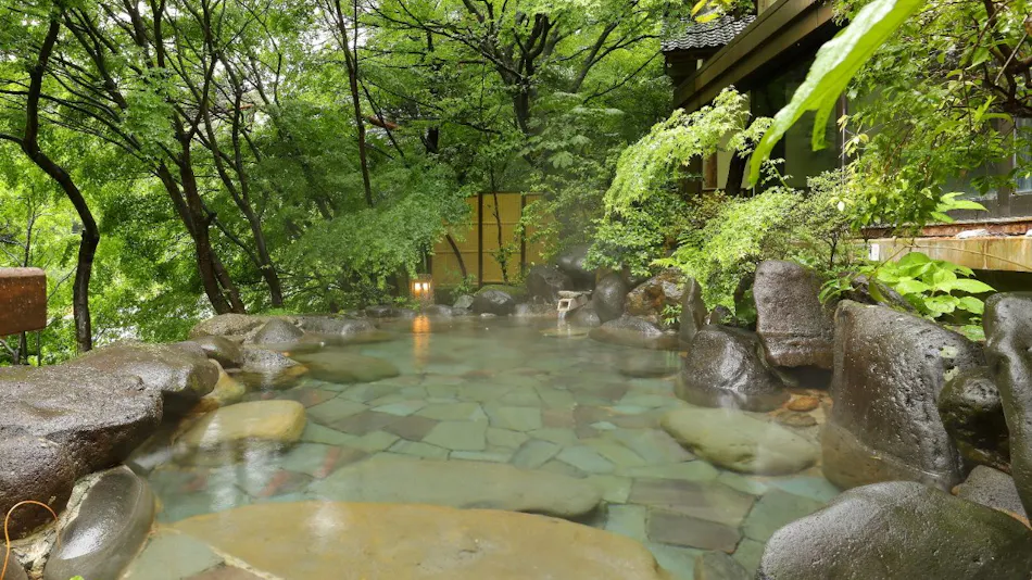 Kinugawa Onsen Hana no Yado Matsuya