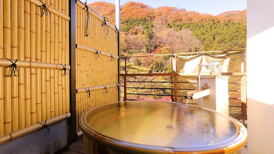 Kinugawa Onsen Hana no Yado Matsuya