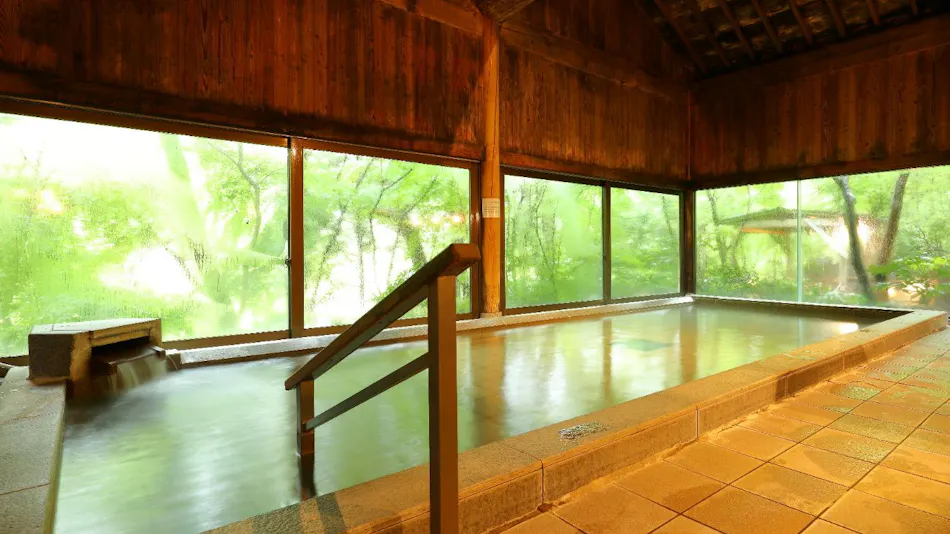 Kinugawa Onsen Hana no Yado Matsuya