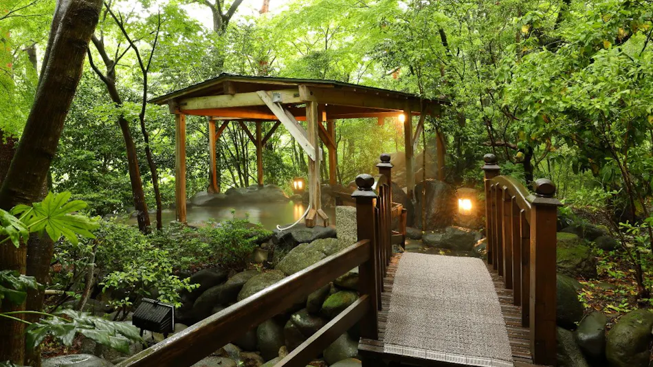 Kinugawa Onsen Hana no Yado Matsuya
