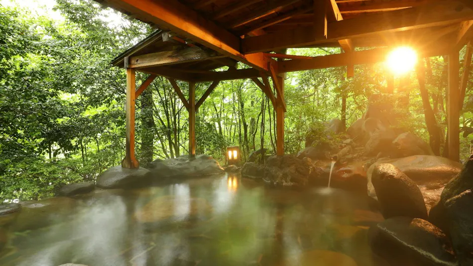 Kinugawa Onsen Hana no Yado Matsuya