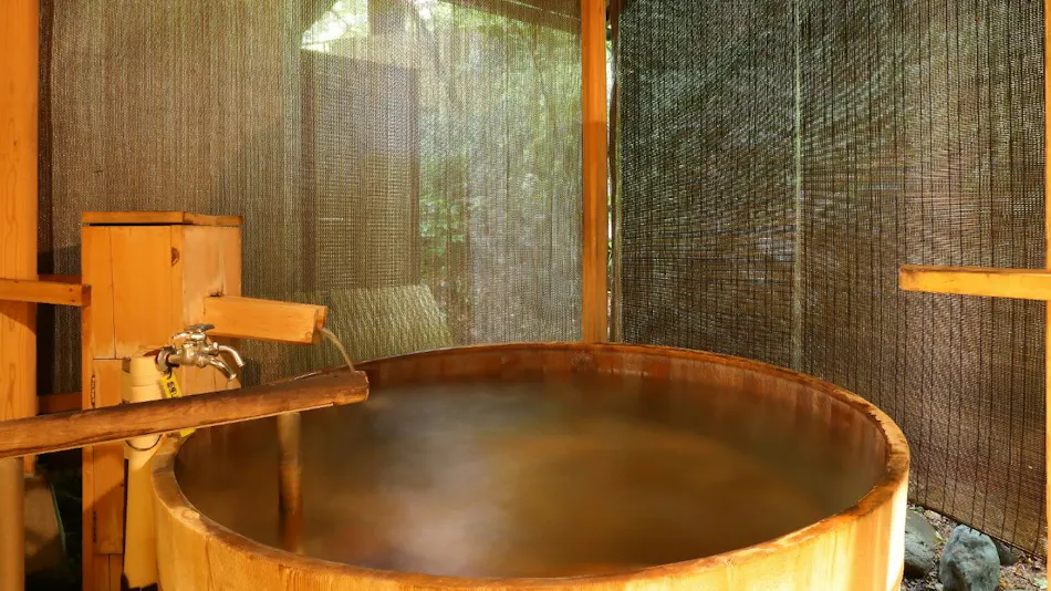 Kinugawa Onsen Hana no Yado Matsuya
