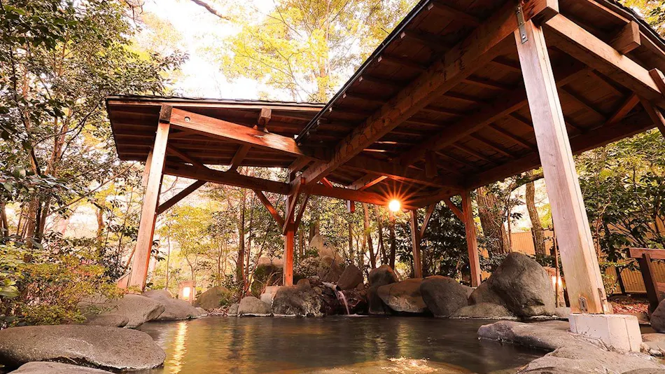 Kinugawa Onsen Hana no Yado Matsuya