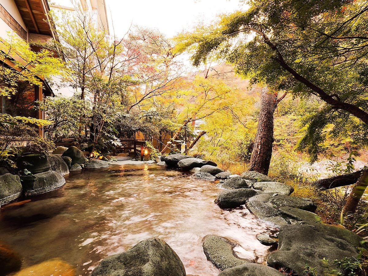 鬼怒川温泉　花の宿 松や