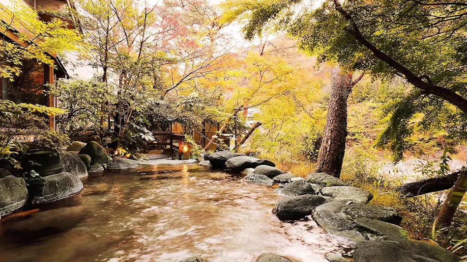 Kinugawa Onsen Hana no Yado Matsuya