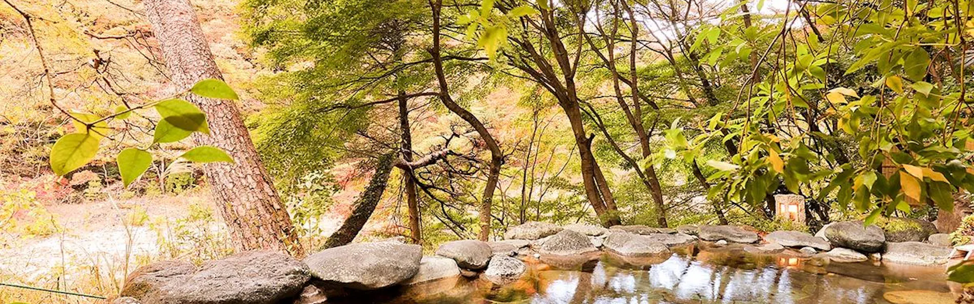 鬼怒川温泉 花の宿 松や