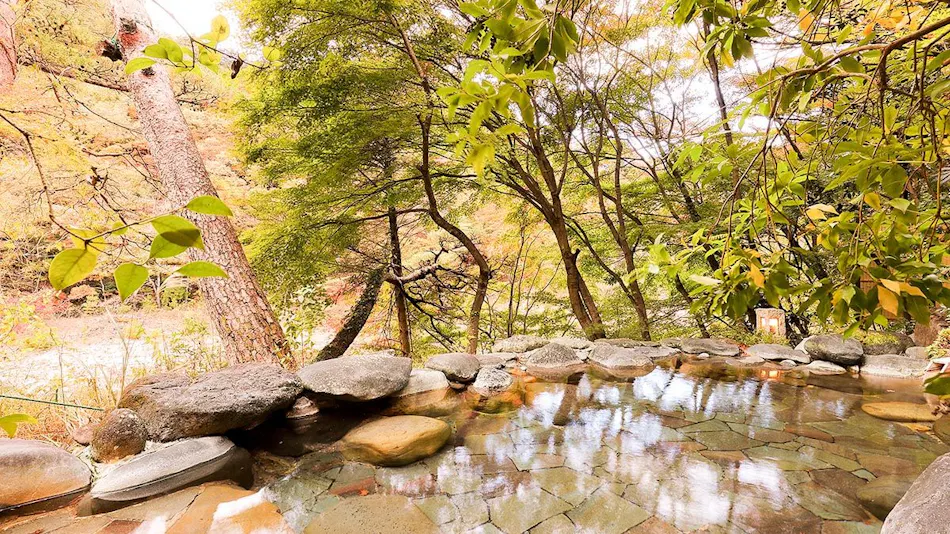 Kinugawa Onsen Hana no Yado Matsuya