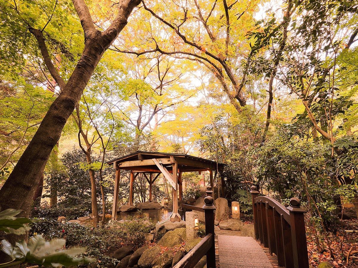 鬼怒川温泉　花の宿 松や