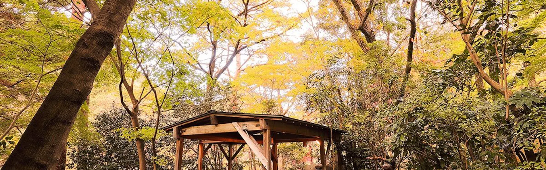 鬼怒川温泉 花の宿 松や
