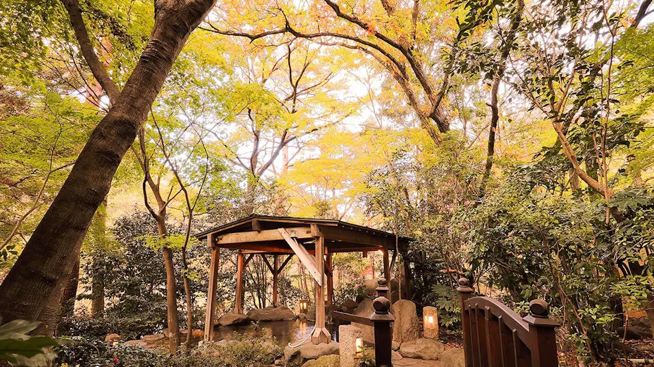 Kinugawa Onsen Hana no Yado Matsuya