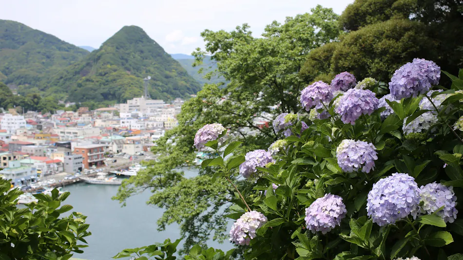 Shimoda Tokyu Hotel
