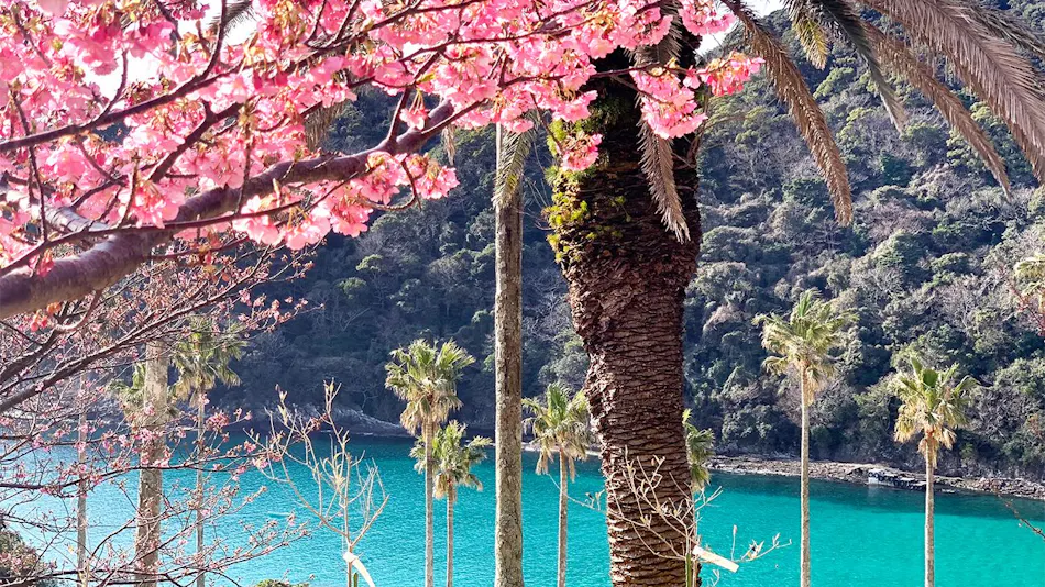 Shimoda Tokyu Hotel