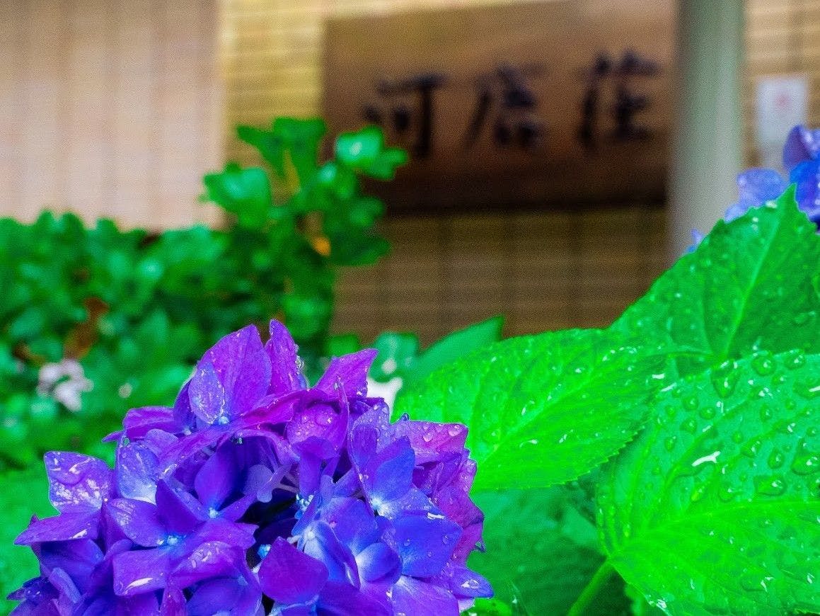 箱根湯本温泉　ホテル河鹿荘