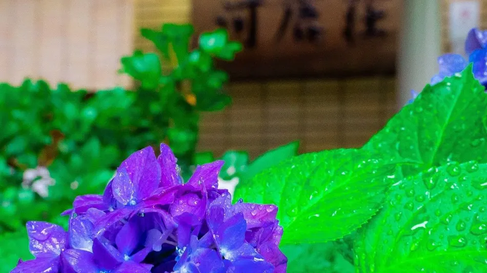 Hakone Yumoto Onsen Hotel Kajikaso