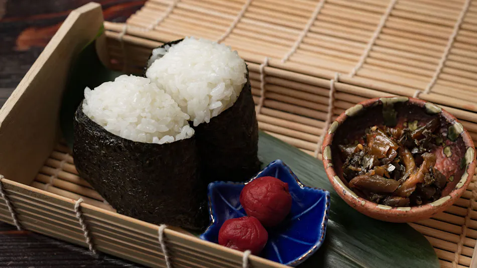 Hidden Inn with Open-Air Baths in Every Room - Hana no Kumo
