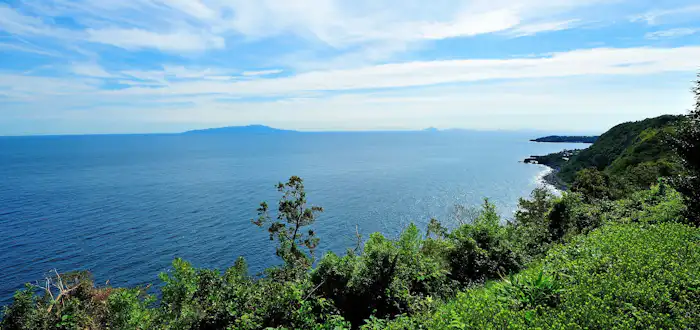 静岡県伊東市のキャンペーン画像