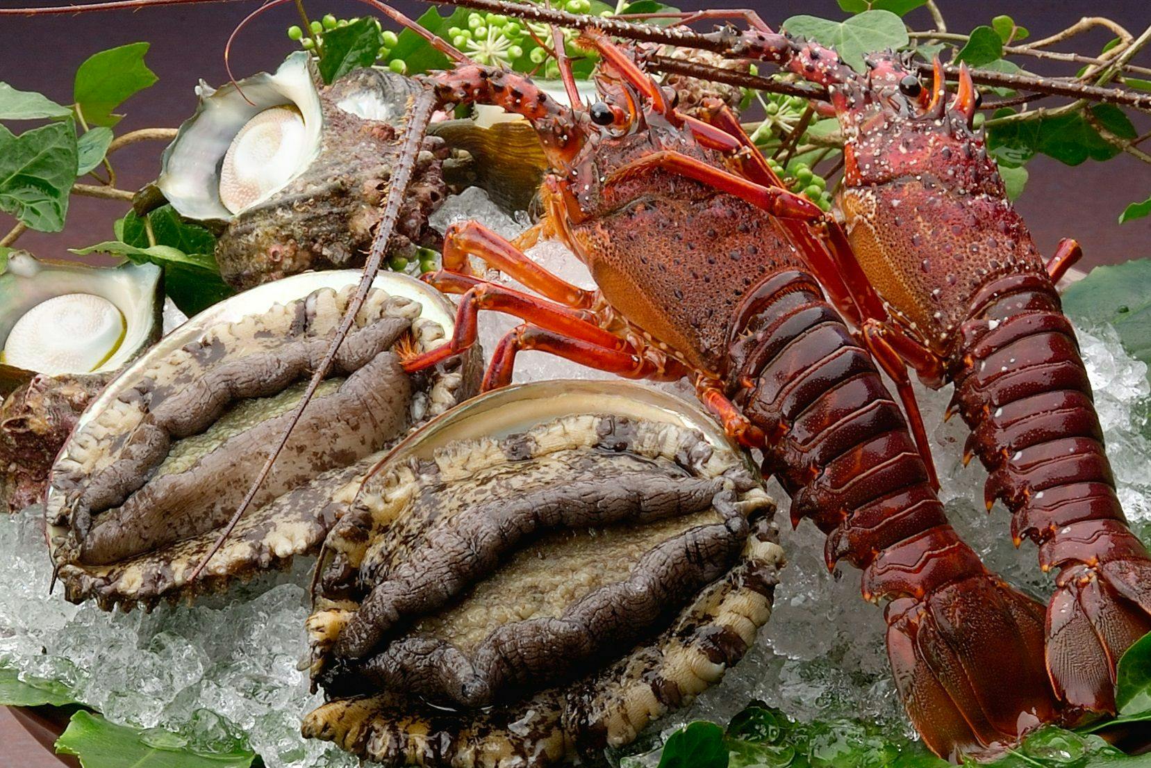 【厳選素材】伊豆を代表する豪華食材！