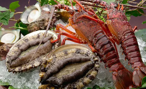 伊東温泉の宿で 海鮮 をご紹介 最上のひとときをどうぞ 一休 Com 伊東温泉の宿で 海鮮 をご紹介 最上のひとときをどうぞ 一休 Com