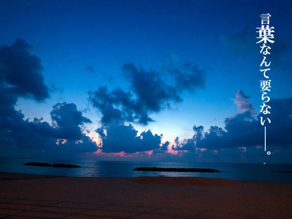 【周辺・景観】