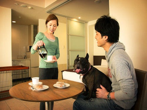 ドッグフレンドリールーム(イメージ)