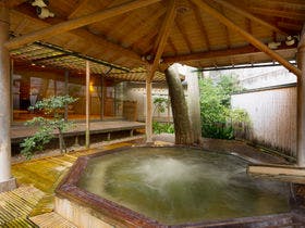 花みずき