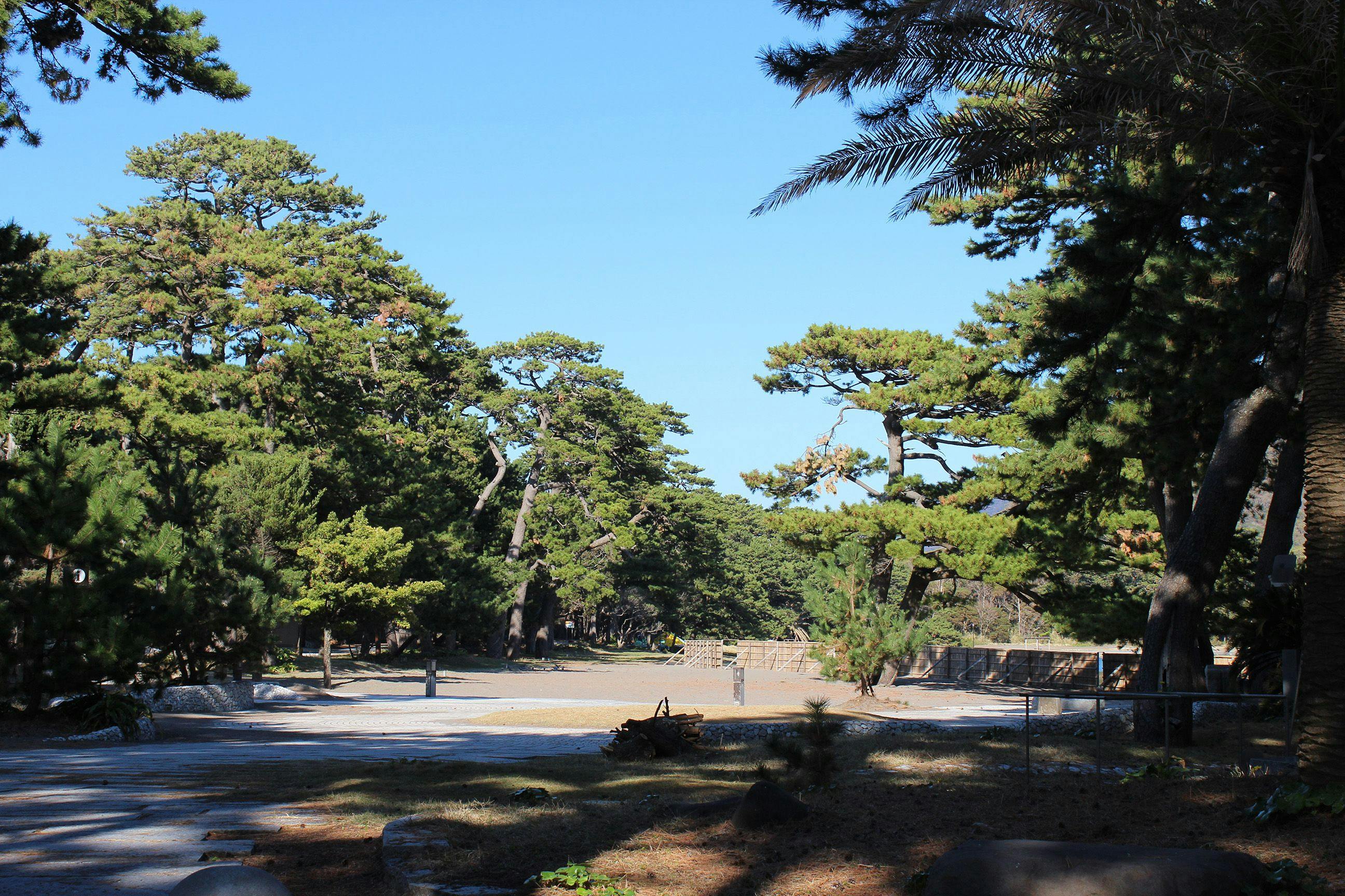 【潮風と松の香り】