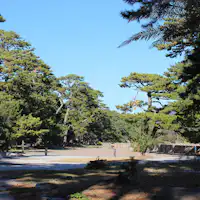 【潮風と松の香り】