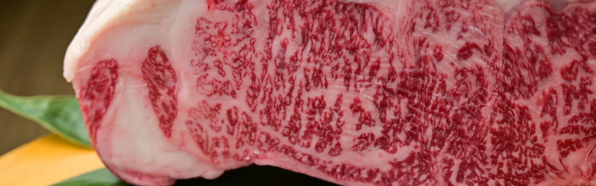 伊東遊季亭