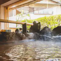 半混浴式の大浴場。