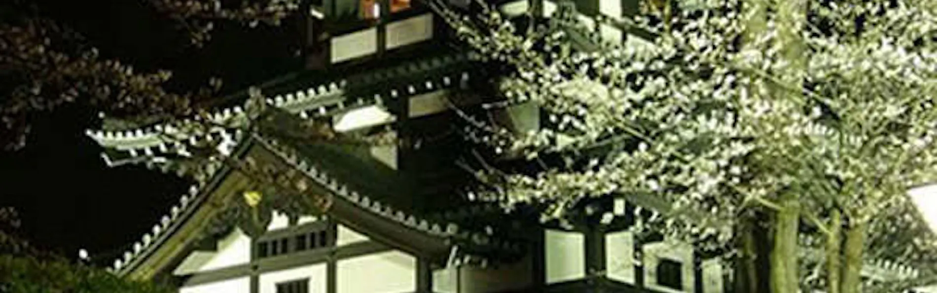 アートホテル上越