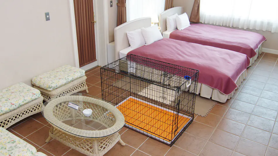 Hotel Blueberry Hill Katsuura