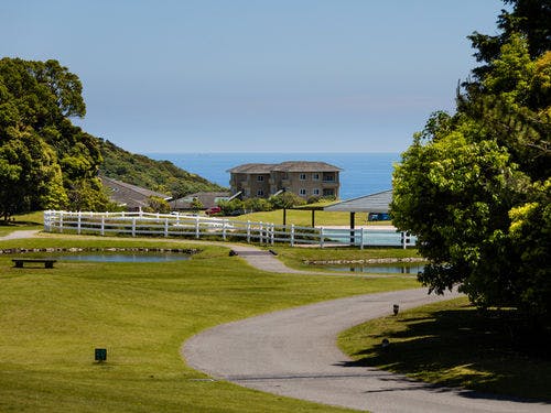 *ブルーベリーヒル勝浦の風景