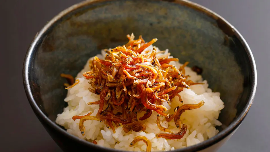 Shiosai Kirara Shokichi