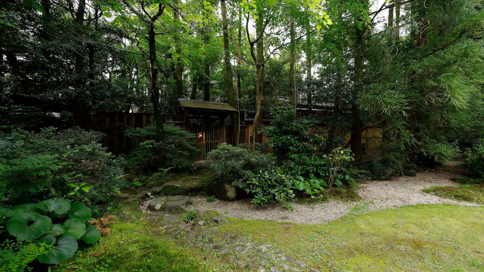 Taishoya