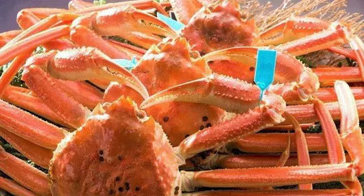 【旬の旅】石川県産ブランド“加能ガニ(かのうがに)”を味わう極上会席プラン