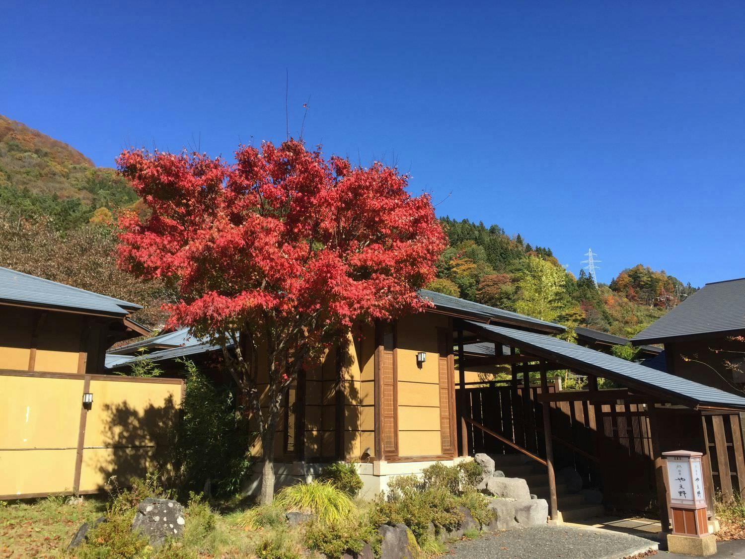 別亭やえ野