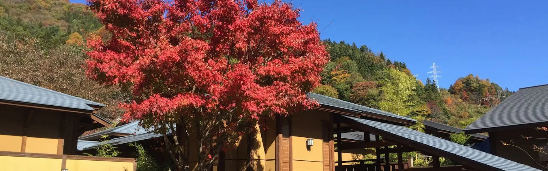 別亭やえ野