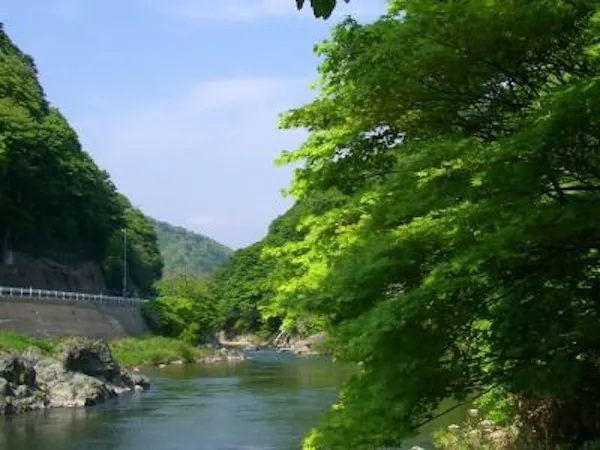 初夏・小国川