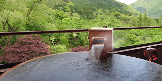 ゆめみの宿 観松館