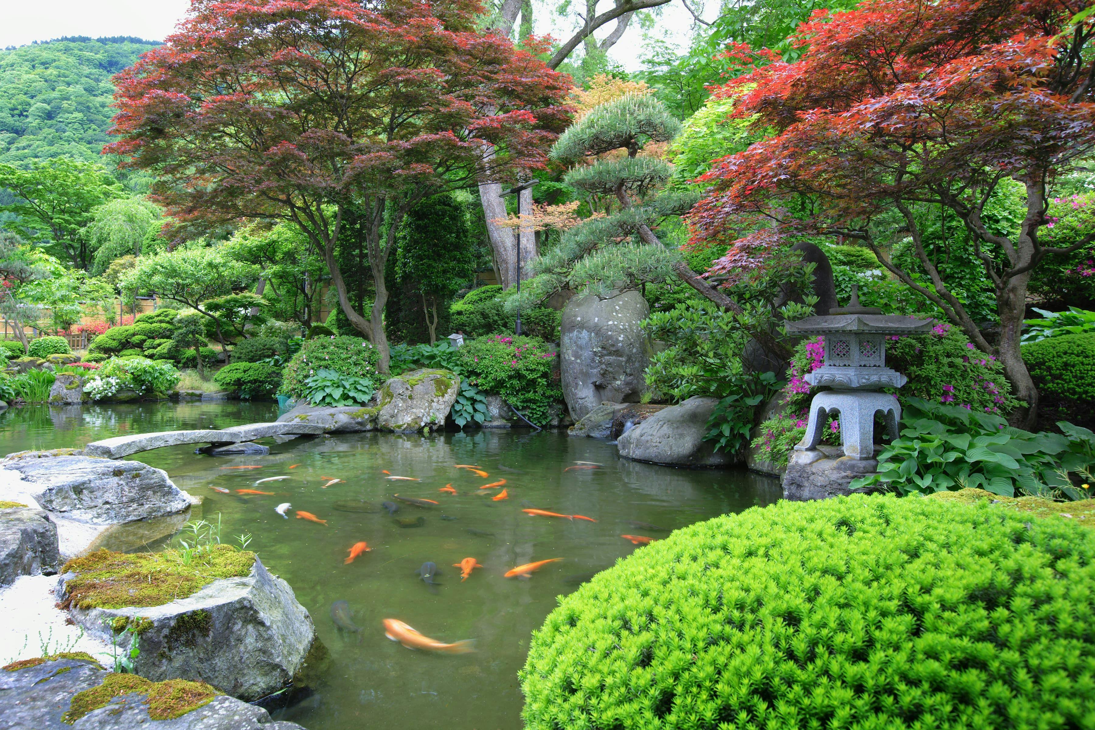 ゆめみの宿 観松館