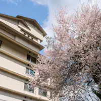 봄, 벚꽃과 외관