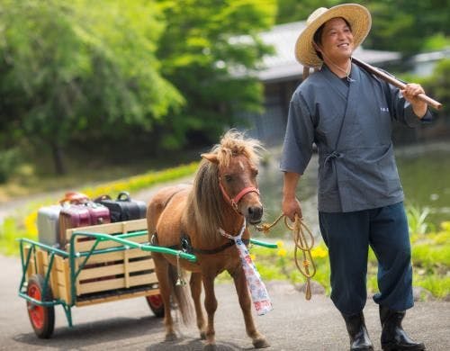 【ポニーポーター】