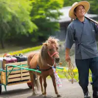 【ポニーポーター】