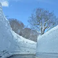 【八甲田 雪の回廊】