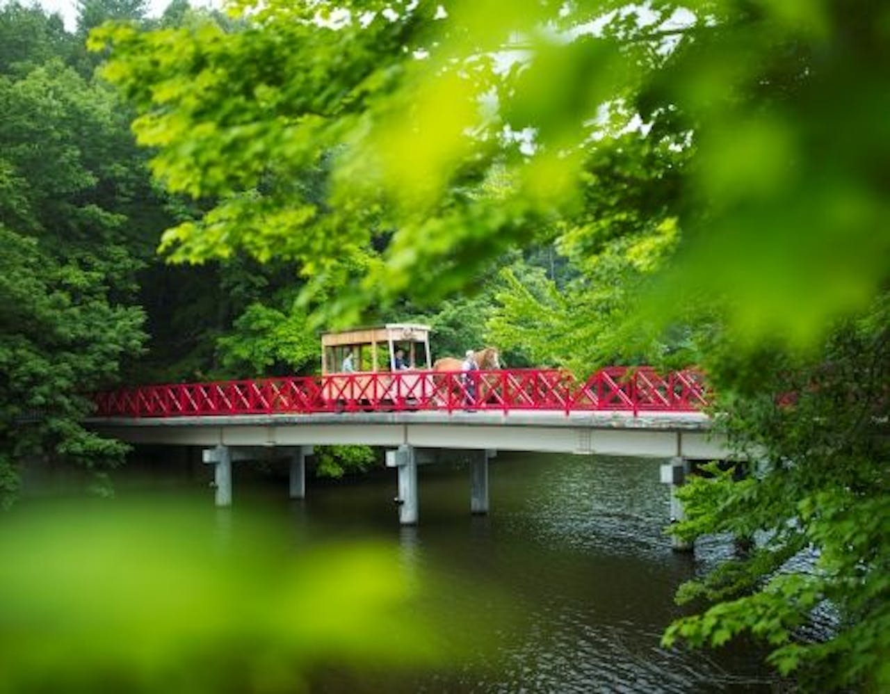 【公園めぐり馬車】