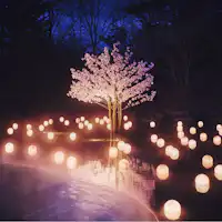 4~5月限定に「ねぶた桜灯りの湯」開催!