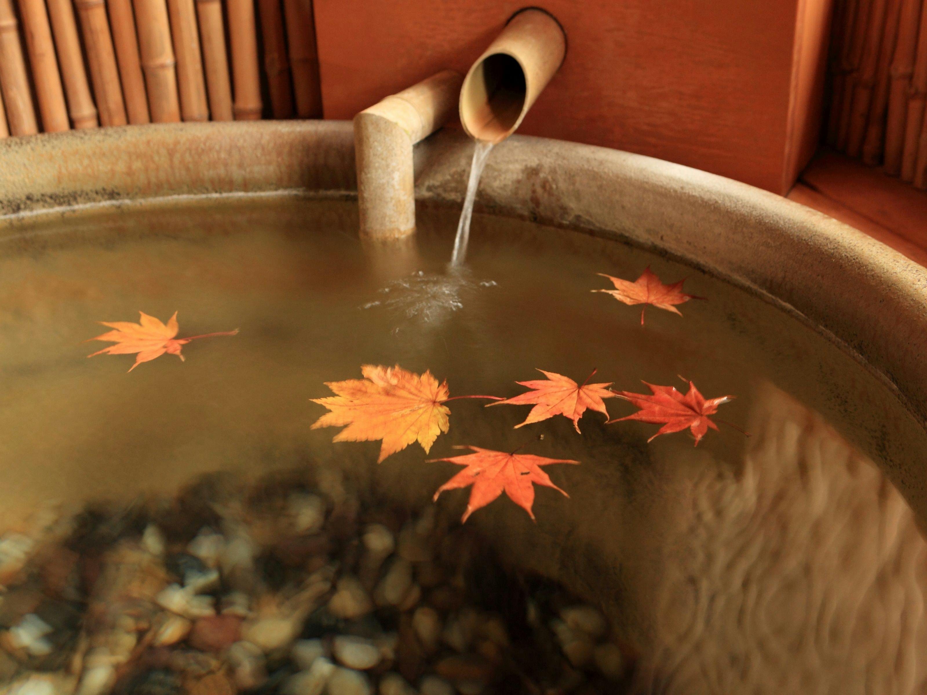 安比八幡平の食の宿　四季館彩冬